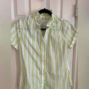 The Shirt by Rochelle Behrens